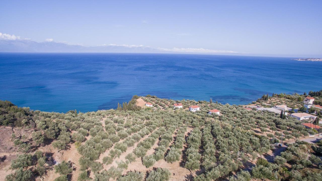 Κτήμα Παπαβασιλόπουλος 2 - Koróni Exterior foto